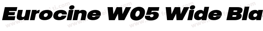 Eurocine W05 Wide Black字体转换